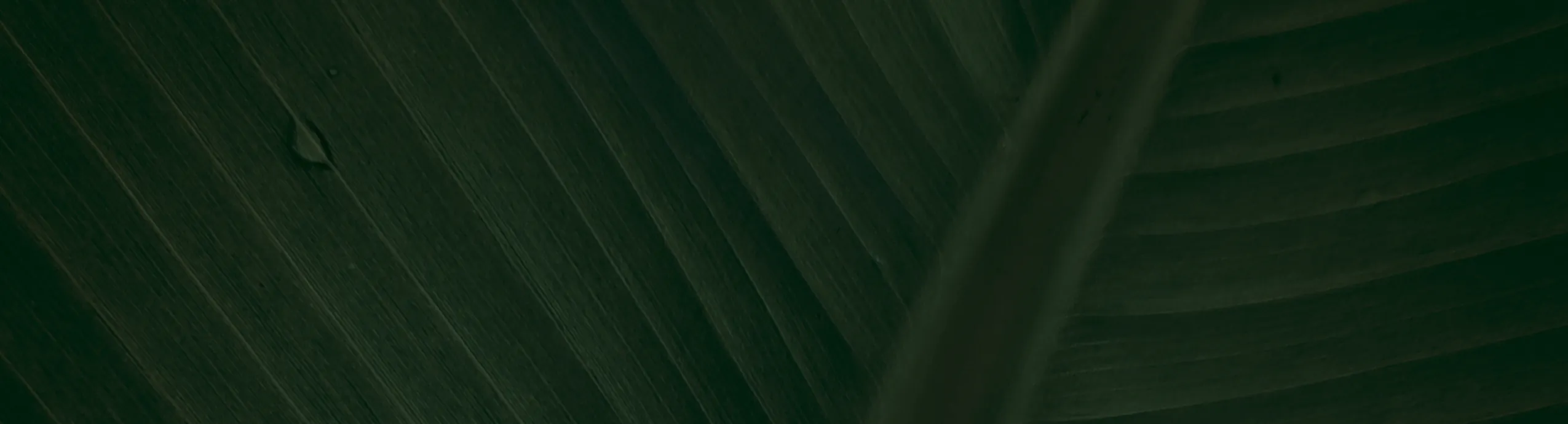 Crawler Tractor TS-120HP